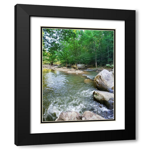 Pocket Wilderness Dayton 5 Black Modern Wood Framed Art Print with Double Matting by Lee, Rachel