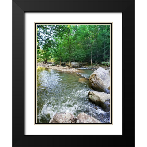 Pocket Wilderness Dayton 5 Black Modern Wood Framed Art Print with Double Matting by Lee, Rachel