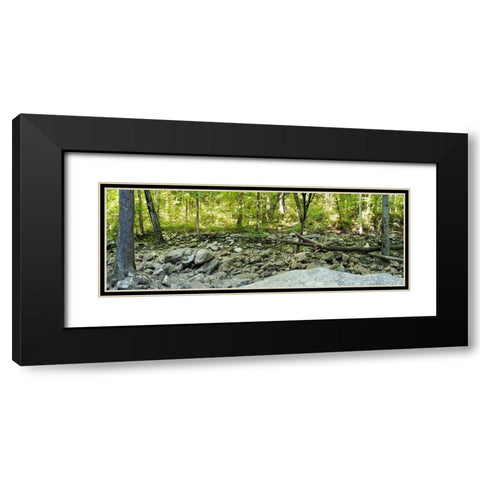 Pocket Wilderness Dayton 6 Black Modern Wood Framed Art Print with Double Matting by Lee, Rachel