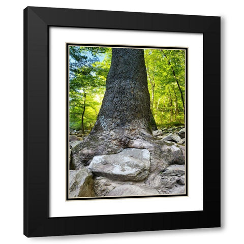 Pocket Wilderness Dayton 7 Black Modern Wood Framed Art Print with Double Matting by Lee, Rachel