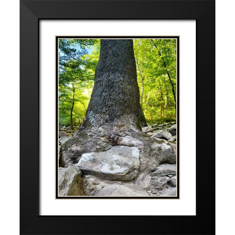 Pocket Wilderness Dayton 7 Black Modern Wood Framed Art Print with Double Matting by Lee, Rachel