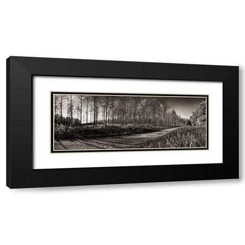 Prentice Road Pano Sepia Black Modern Wood Framed Art Print with Double Matting by Lee, Rachel
