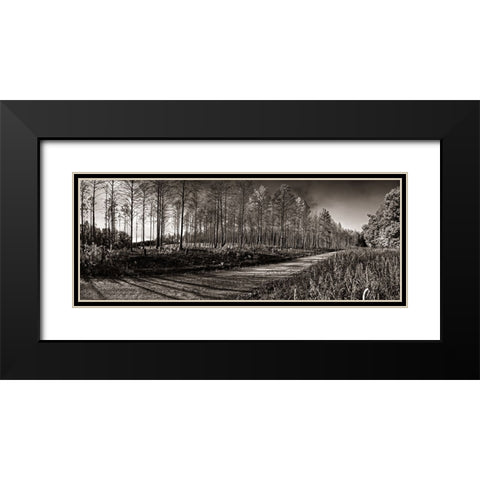 Prentice Road Pano Sepia Black Modern Wood Framed Art Print with Double Matting by Lee, Rachel