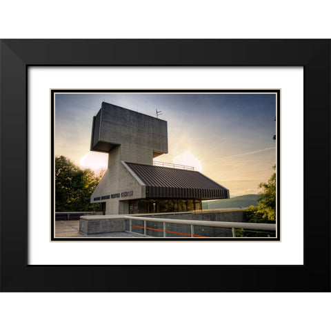 Raccoon Observatory Black Modern Wood Framed Art Print with Double Matting by Lee, Rachel