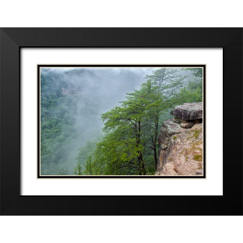 Scenic City 36 Black Modern Wood Framed Art Print with Double Matting by Lee, Rachel