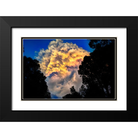 Signal Cloud Black Modern Wood Framed Art Print with Double Matting by Lee, Rachel