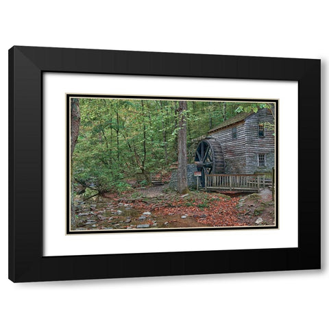 Smokies Grist Mill Summer Black Modern Wood Framed Art Print with Double Matting by Lee, Rachel