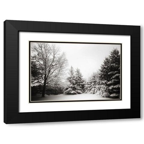 Snow Trees Black Modern Wood Framed Art Print with Double Matting by Lee, Rachel