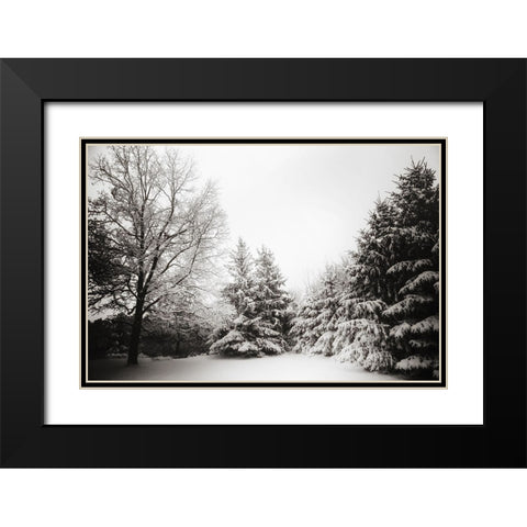 Snow Trees Black Modern Wood Framed Art Print with Double Matting by Lee, Rachel