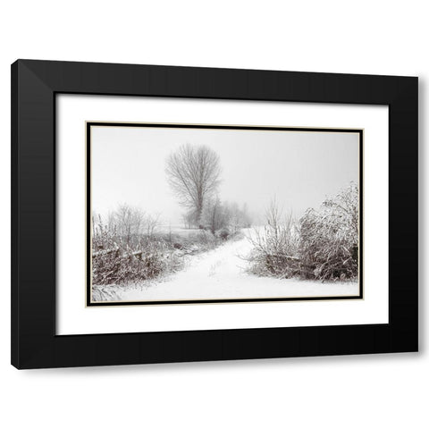 Snowy Farm Black Modern Wood Framed Art Print with Double Matting by Lee, Rachel
