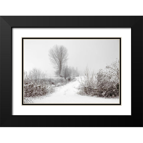 Snowy Farm Black Modern Wood Framed Art Print with Double Matting by Lee, Rachel