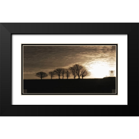 Solitary Trees Black Modern Wood Framed Art Print with Double Matting by Lee, Rachel