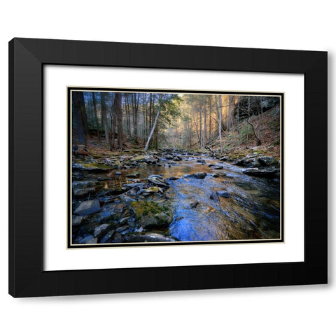 Stinging Fork Creek 2 Black Modern Wood Framed Art Print with Double Matting by Lee, Rachel