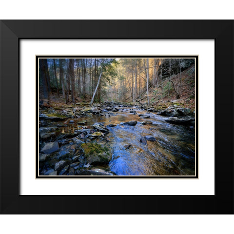 Stinging Fork Creek 2 Black Modern Wood Framed Art Print with Double Matting by Lee, Rachel