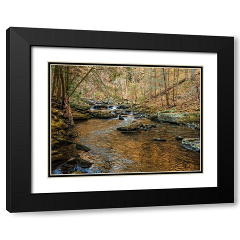 Stinging Fork Creek 3 Black Modern Wood Framed Art Print with Double Matting by Lee, Rachel