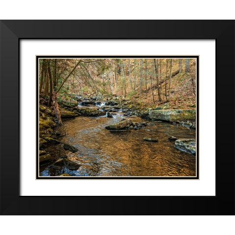 Stinging Fork Creek 3 Black Modern Wood Framed Art Print with Double Matting by Lee, Rachel