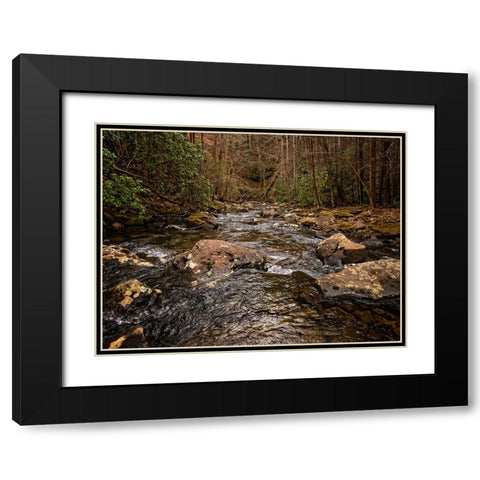 Stinging Fork Creek 4 Black Modern Wood Framed Art Print with Double Matting by Lee, Rachel