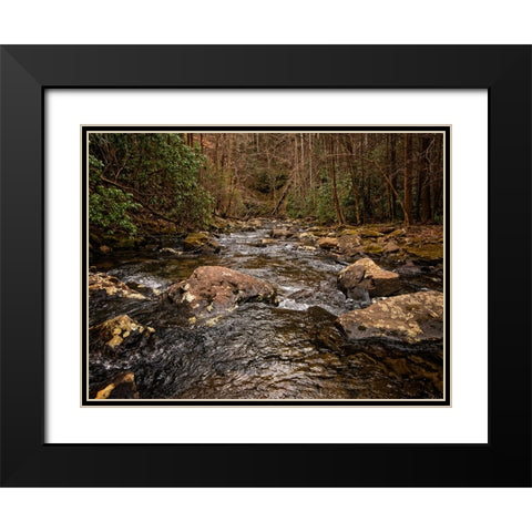 Stinging Fork Creek 4 Black Modern Wood Framed Art Print with Double Matting by Lee, Rachel