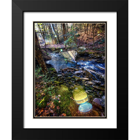Stinging Fork Creek 5 Black Modern Wood Framed Art Print with Double Matting by Lee, Rachel