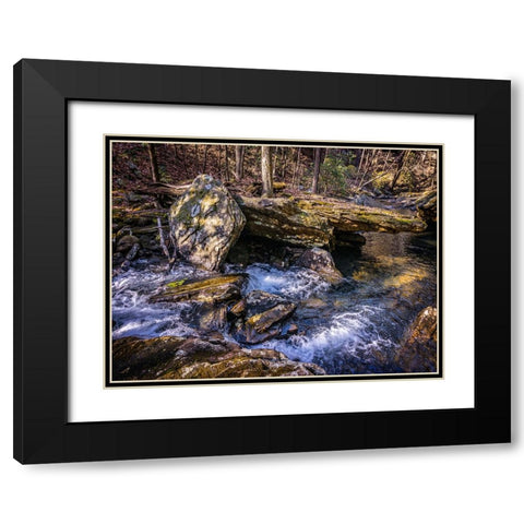 Stinging Fork Creek 7 Black Modern Wood Framed Art Print with Double Matting by Lee, Rachel