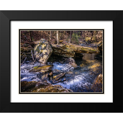 Stinging Fork Creek 7 Black Modern Wood Framed Art Print with Double Matting by Lee, Rachel