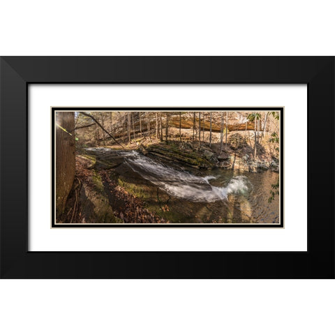 Stinging Fork Slide 3 Black Modern Wood Framed Art Print with Double Matting by Lee, Rachel