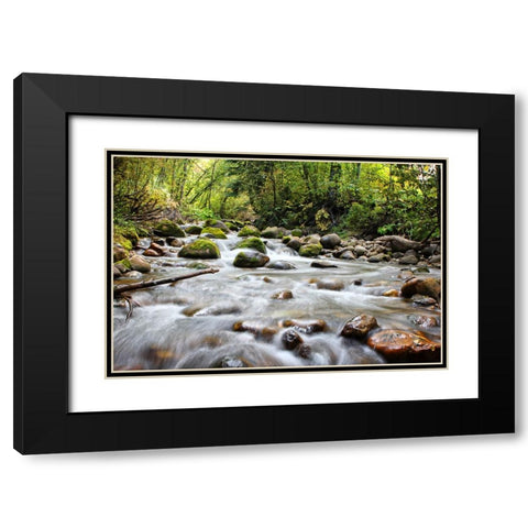 Stream 1 Black Modern Wood Framed Art Print with Double Matting by Lee, Rachel