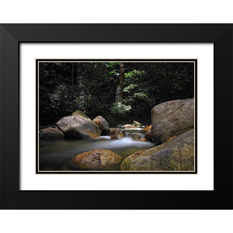Stream 10 Black Modern Wood Framed Art Print with Double Matting by Lee, Rachel