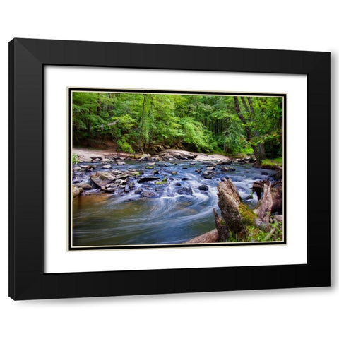 Stream 12 Black Modern Wood Framed Art Print with Double Matting by Lee, Rachel