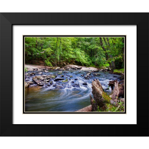 Stream 12 Black Modern Wood Framed Art Print with Double Matting by Lee, Rachel