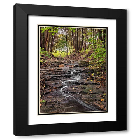 Stream 20 Black Modern Wood Framed Art Print with Double Matting by Lee, Rachel