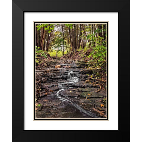 Stream 20 Black Modern Wood Framed Art Print with Double Matting by Lee, Rachel