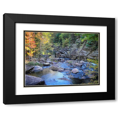 Stream 3 Black Modern Wood Framed Art Print with Double Matting by Lee, Rachel