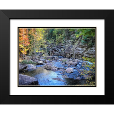 Stream 3 Black Modern Wood Framed Art Print with Double Matting by Lee, Rachel