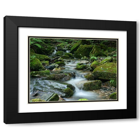 Stream 9 Black Modern Wood Framed Art Print with Double Matting by Lee, Rachel