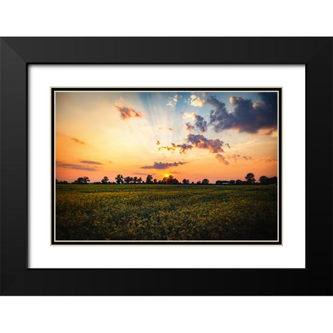 Tree Sunset 2 Black Modern Wood Framed Art Print with Double Matting by Lee, Rachel