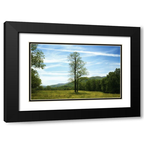 Trees 11 Black Modern Wood Framed Art Print with Double Matting by Lee, Rachel