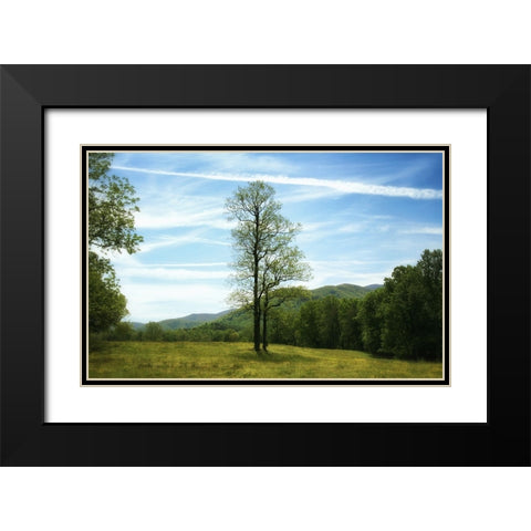 Trees 11 Black Modern Wood Framed Art Print with Double Matting by Lee, Rachel
