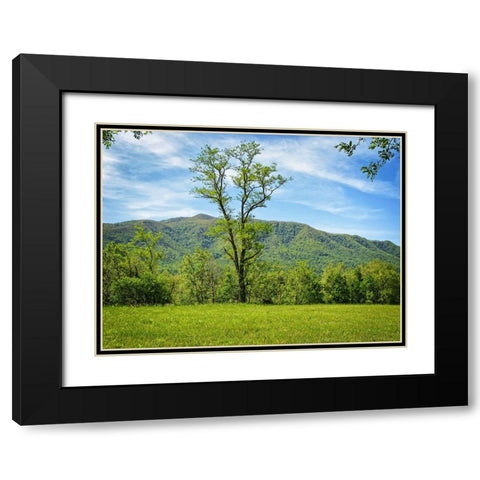 Trees 12 Black Modern Wood Framed Art Print with Double Matting by Lee, Rachel
