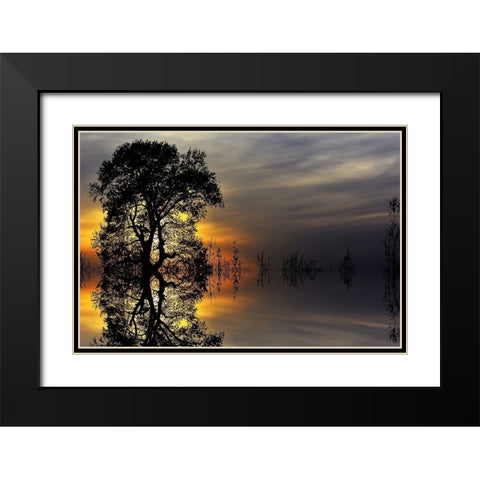 Trees 16 Black Modern Wood Framed Art Print with Double Matting by Lee, Rachel
