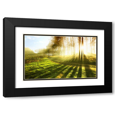 Trees 18 Black Modern Wood Framed Art Print with Double Matting by Lee, Rachel