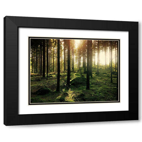 Trees 20 Black Modern Wood Framed Art Print with Double Matting by Lee, Rachel