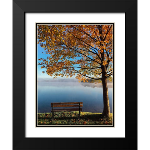 Trees 21 Black Modern Wood Framed Art Print with Double Matting by Lee, Rachel