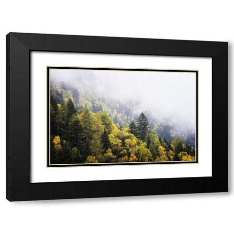Trees 23 Black Modern Wood Framed Art Print with Double Matting by Lee, Rachel