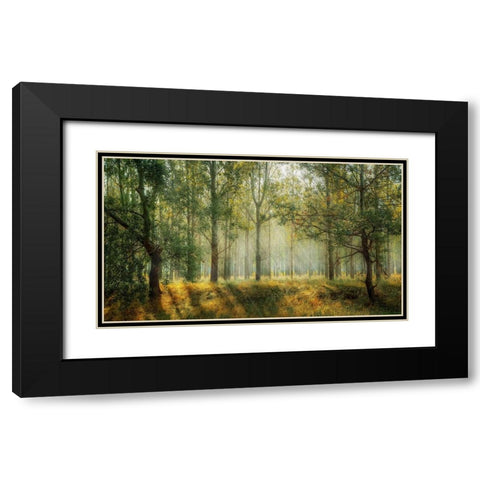 Trees 27 Black Modern Wood Framed Art Print with Double Matting by Lee, Rachel
