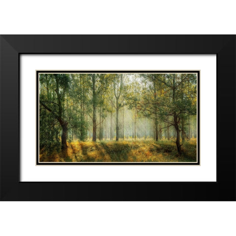 Trees 27 Black Modern Wood Framed Art Print with Double Matting by Lee, Rachel