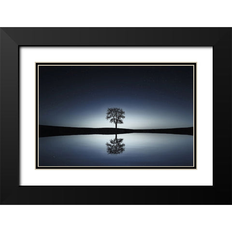 Trees 29 Black Modern Wood Framed Art Print with Double Matting by Lee, Rachel