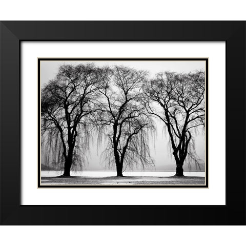 Trees 32 Black Modern Wood Framed Art Print with Double Matting by Lee, Rachel