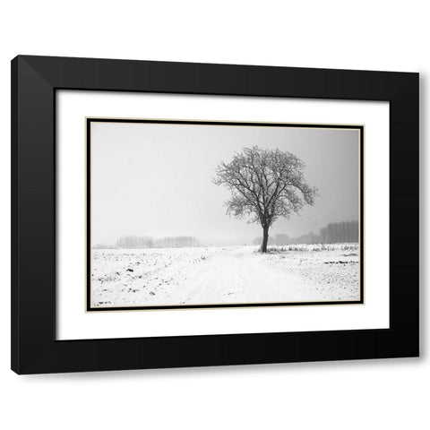 Trees 33 Black Modern Wood Framed Art Print with Double Matting by Lee, Rachel