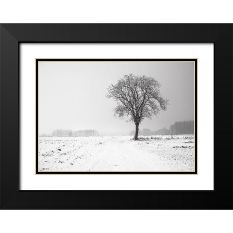 Trees 33 Black Modern Wood Framed Art Print with Double Matting by Lee, Rachel